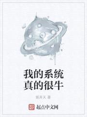 我的系统真的很牛