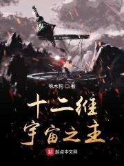 十二维宇宙之主