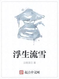 浮生流雪