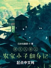 重生九零之农家小子翻身记