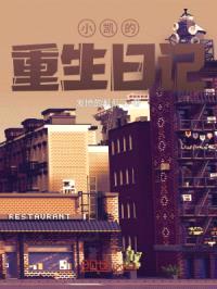 小凯的重生日记